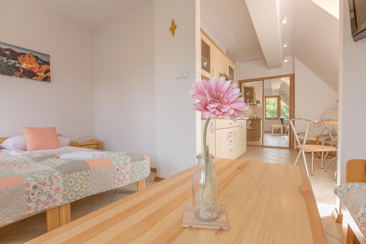 Rent Like Home - Orkana IV Centrum Закопане Екстериор снимка